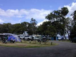 Photo of A campsite at Myall Lakes, NSW